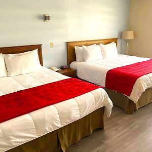 One-Bedroom King Suite